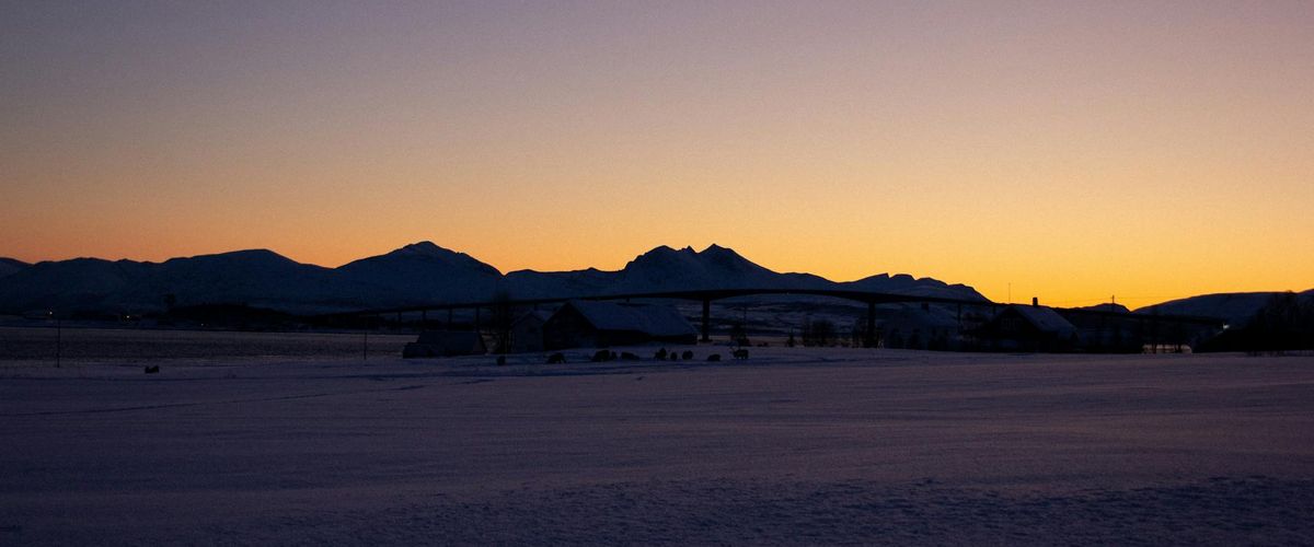 Quiet morning landscape with soft arctic light on the horizon